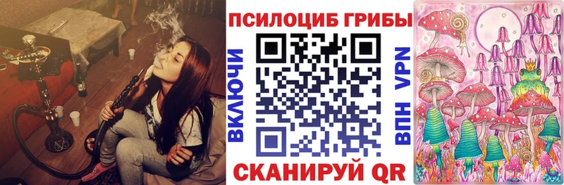 мега рабочий сайт  как найти   Зеленогорск  Псилоцибиновые грибы Psilocybine cubensis 